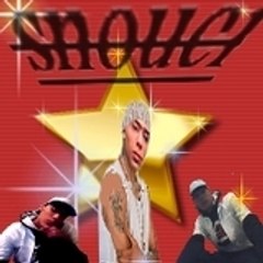 13snouci