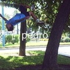 pedro170192