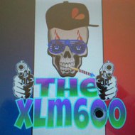 TheXlm600