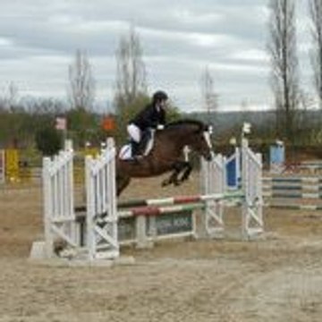 dickie91