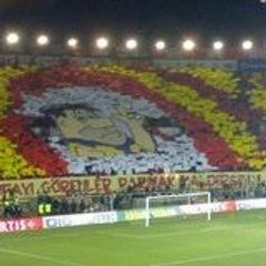 yorkasef
