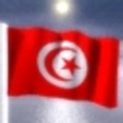 geant_nantais