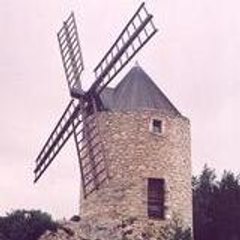 mongolitodu57
