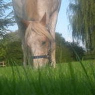 Eugénie Debusschere