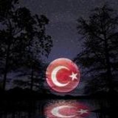 nefci