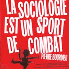 Pierre Carles