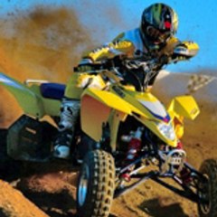 MITCH28410