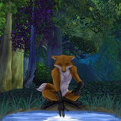 Fox354
