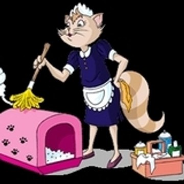 Loque-poussiereuse