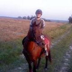 Lewelyn57
