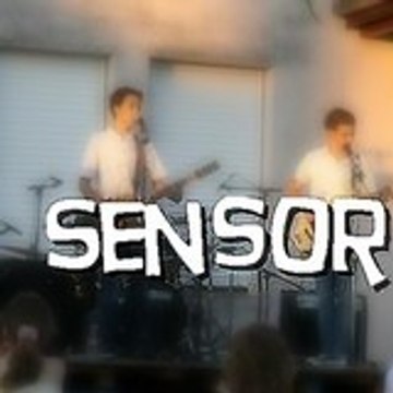 Sensor