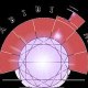 Serabibi multimedia artists association