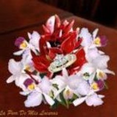 LPDML