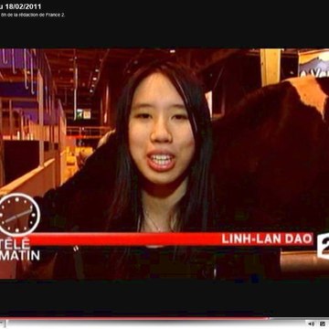 Linh-Lan Dao Reportages