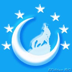 Militan Sevdalar
