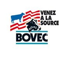 Bovec Sas
