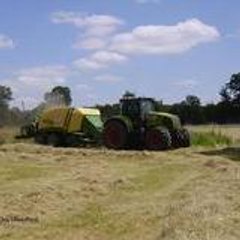 flogui50