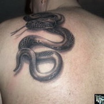 ιllιlιXMANPBMKιllιlι