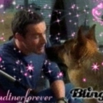 brandtnerforever