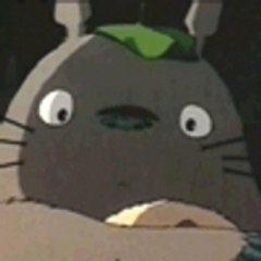 moko-the-moko