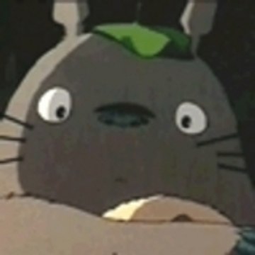 moko-the-moko