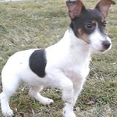 kpompido