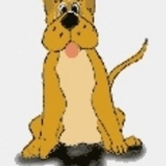 vagheera