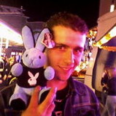 rabbit_25