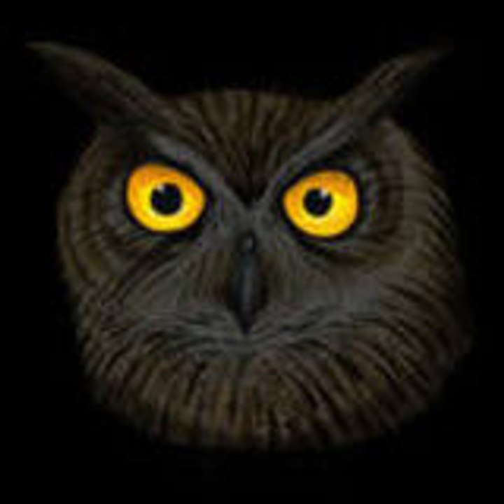 Dailymotion profile picture for @sherif