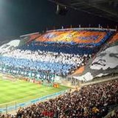 anti_psg_13143