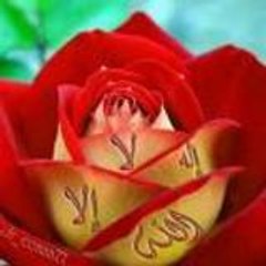 Hafssaa