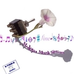 6-tinm-k (sistinm k)