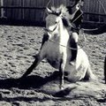 Paulinouw