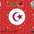 tounsia26100
