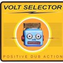 VOLT SELECTOR