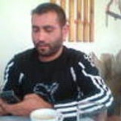 pelev73