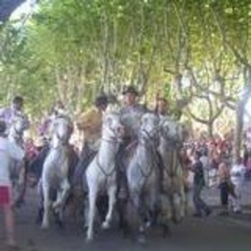 lunel-fete