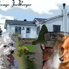 johanne bergeron