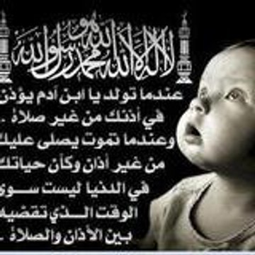 assialgeroise