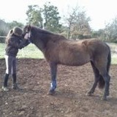 titine-forever-x