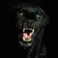 oumar alpha bah