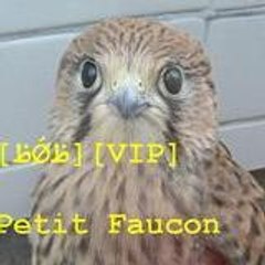 petitfaucon