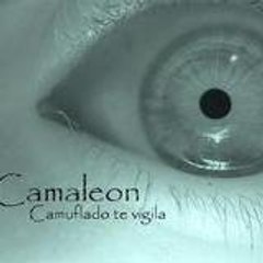 camaleon