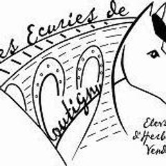 ecuriesdecoutigny