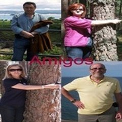 José Amigos