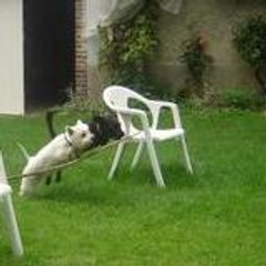AGILITY5042