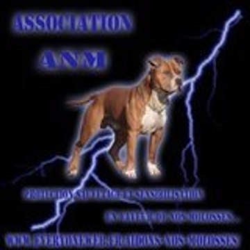 Association ANM