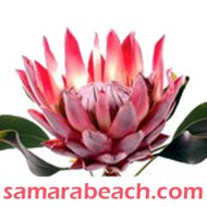 Samara Beach Costa Rica