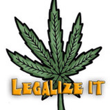 -lunatik-kamikaze
