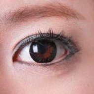 WEB制作仲間フィリピン留学ナビ